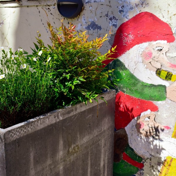 Hebben jullie de nieuwe muurschilderingen in onze binnentuin al gezien? Handgeschilderd dankzij @chouffe_nl | Reserveer nog snel een plekje voor vanmiddag via www.jazzcafebebop.nl <br />
<br />
#indelft #horecadelft #delft #kromstraat #horecasupport #helpdehoreca #sh